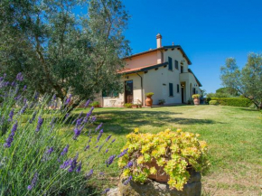 Apartment Le Macine-3 by Interhome Cecina